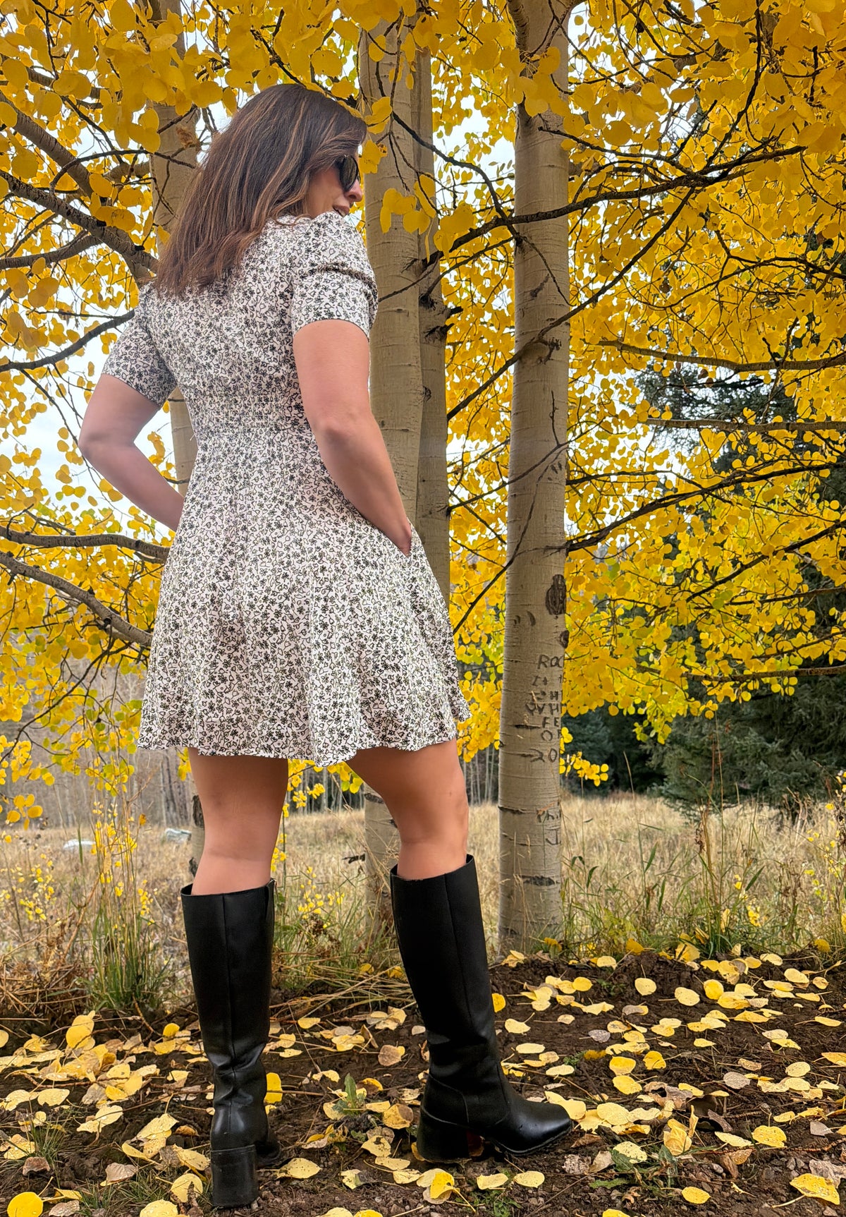 DARLING BUTTON DOWN DRESS